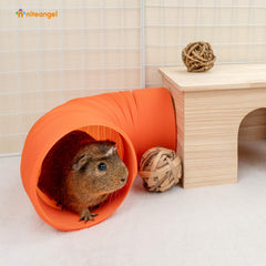 Niteangel fun tunnel ball-toys 3-pack boosts nibbling and enrichment.
