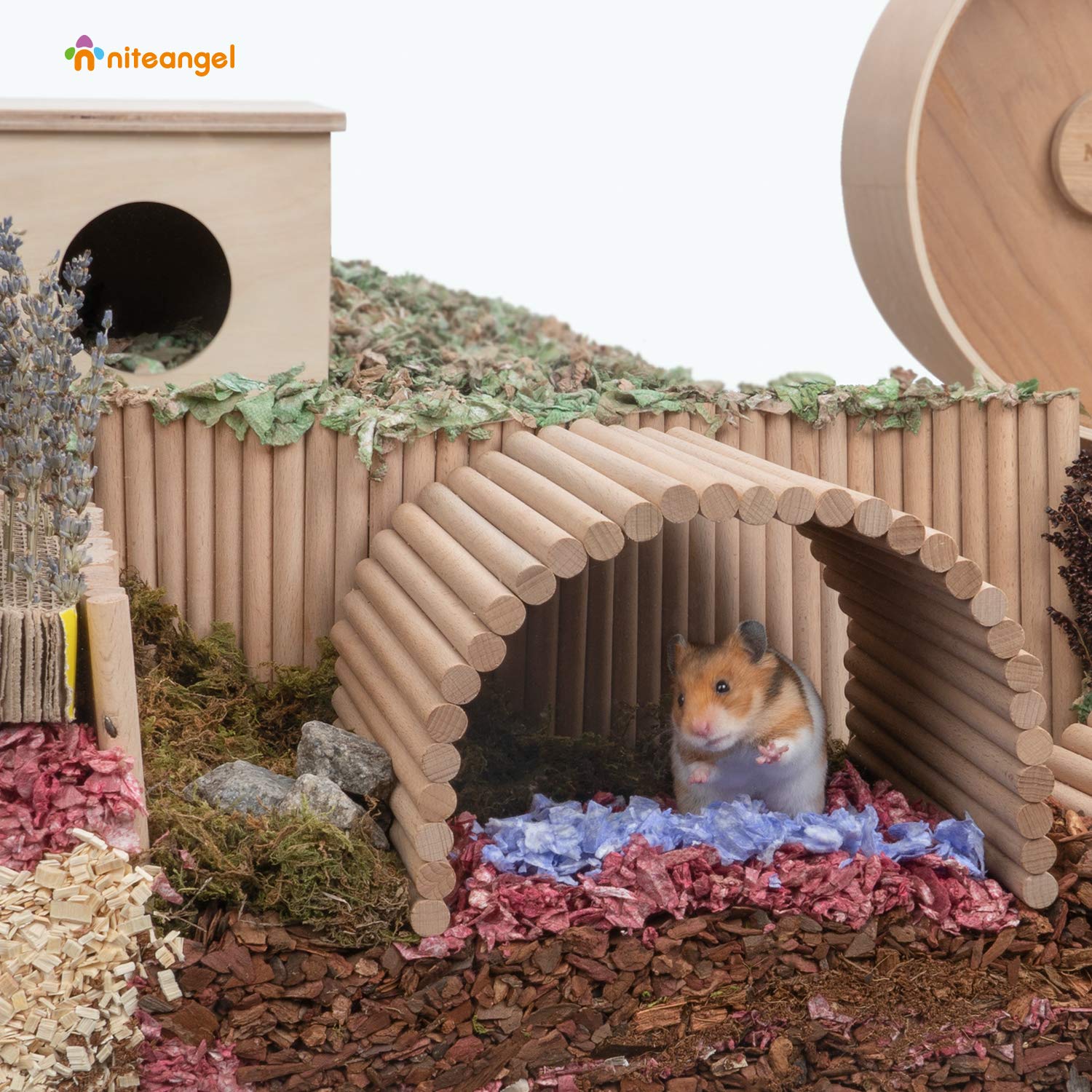 Niteangel bridge in cage demonstrates versatile ramp and hideout features.