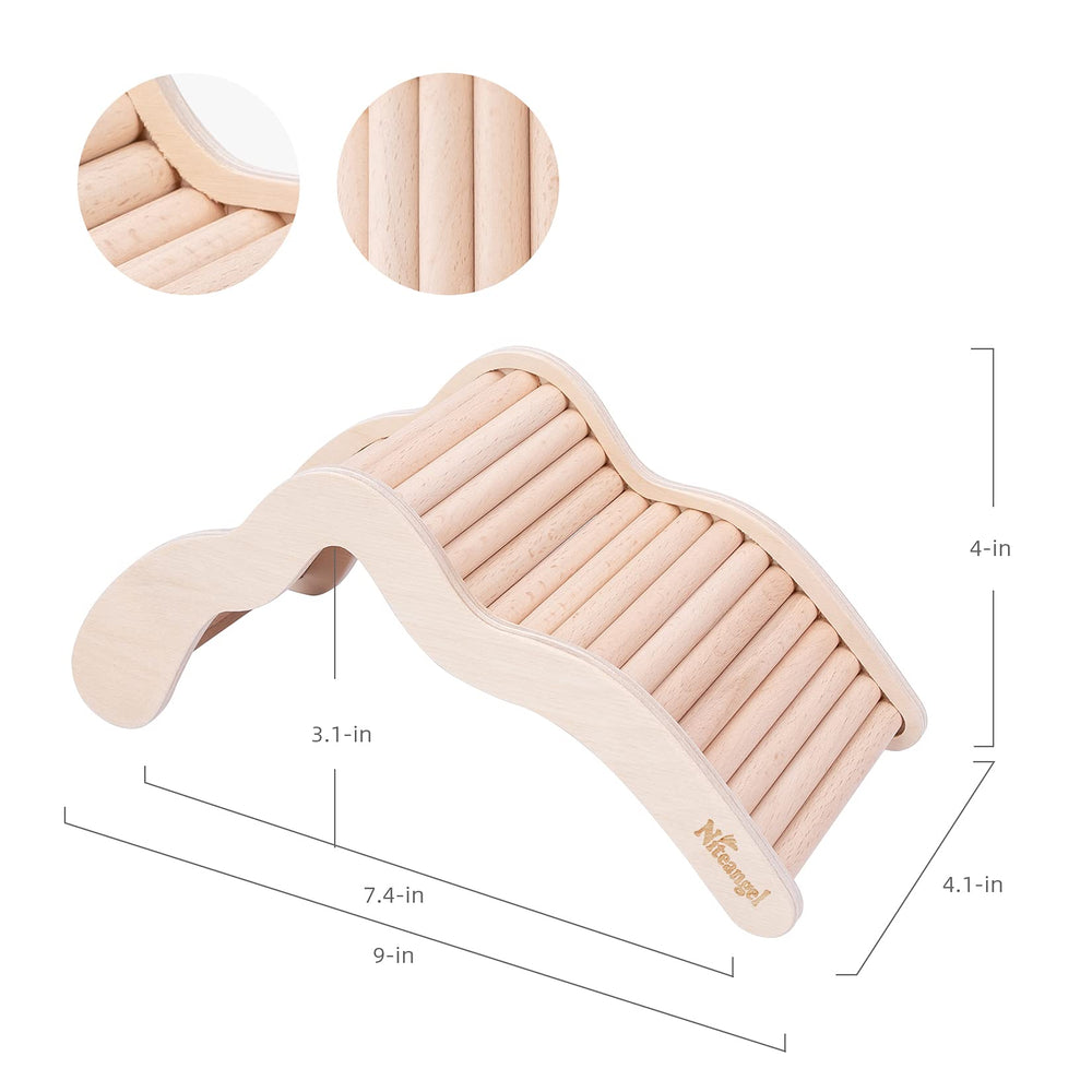 Niteangel hamster climbing bridge ladder with sand bath context illustrates enrichment setup.
