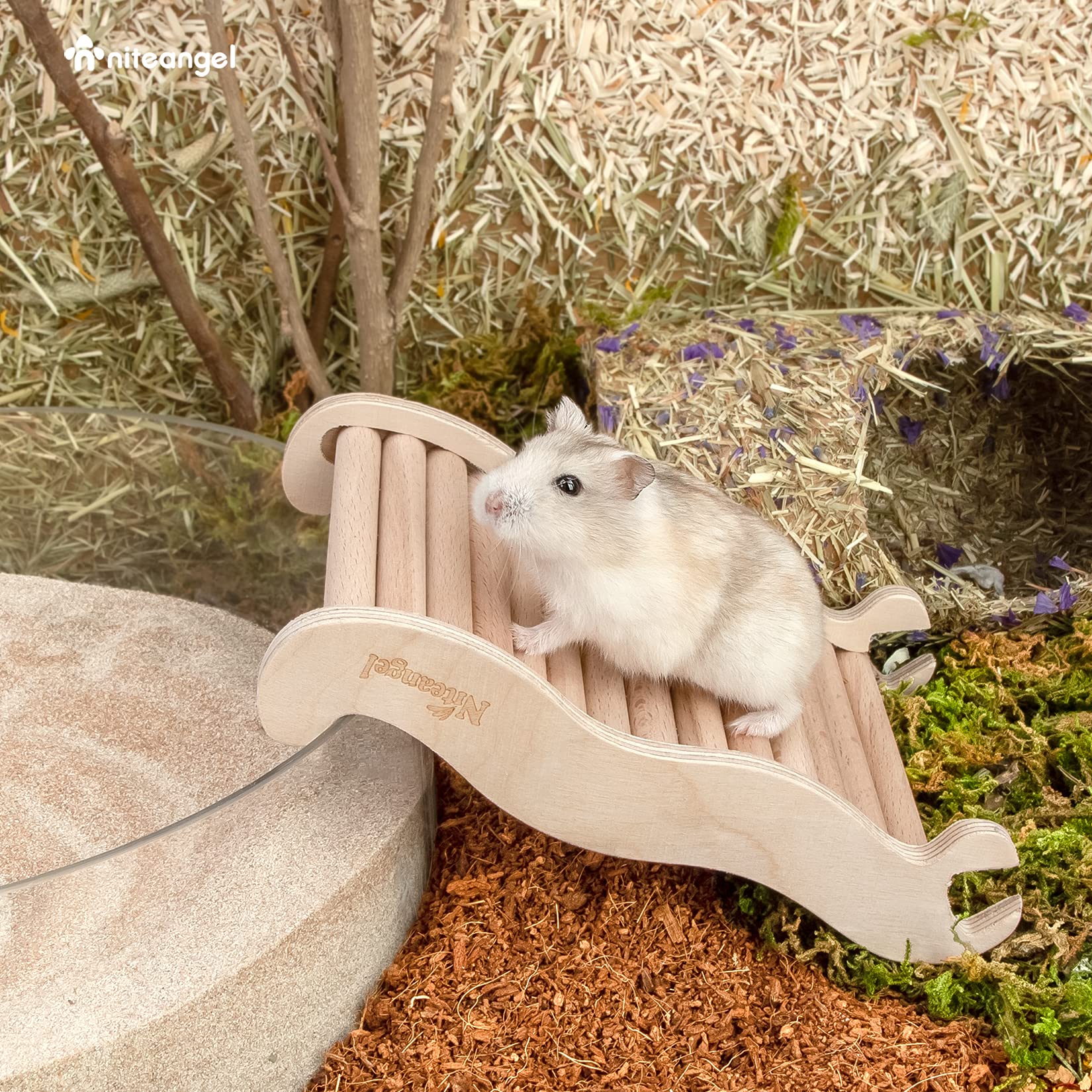 Niteangel hamster climbing toy close-up of birch and beech chewy ramp.
