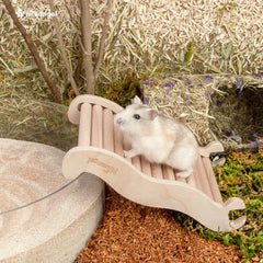 Niteangel hamster climbing toy close-up of birch and beech chewy ramp.