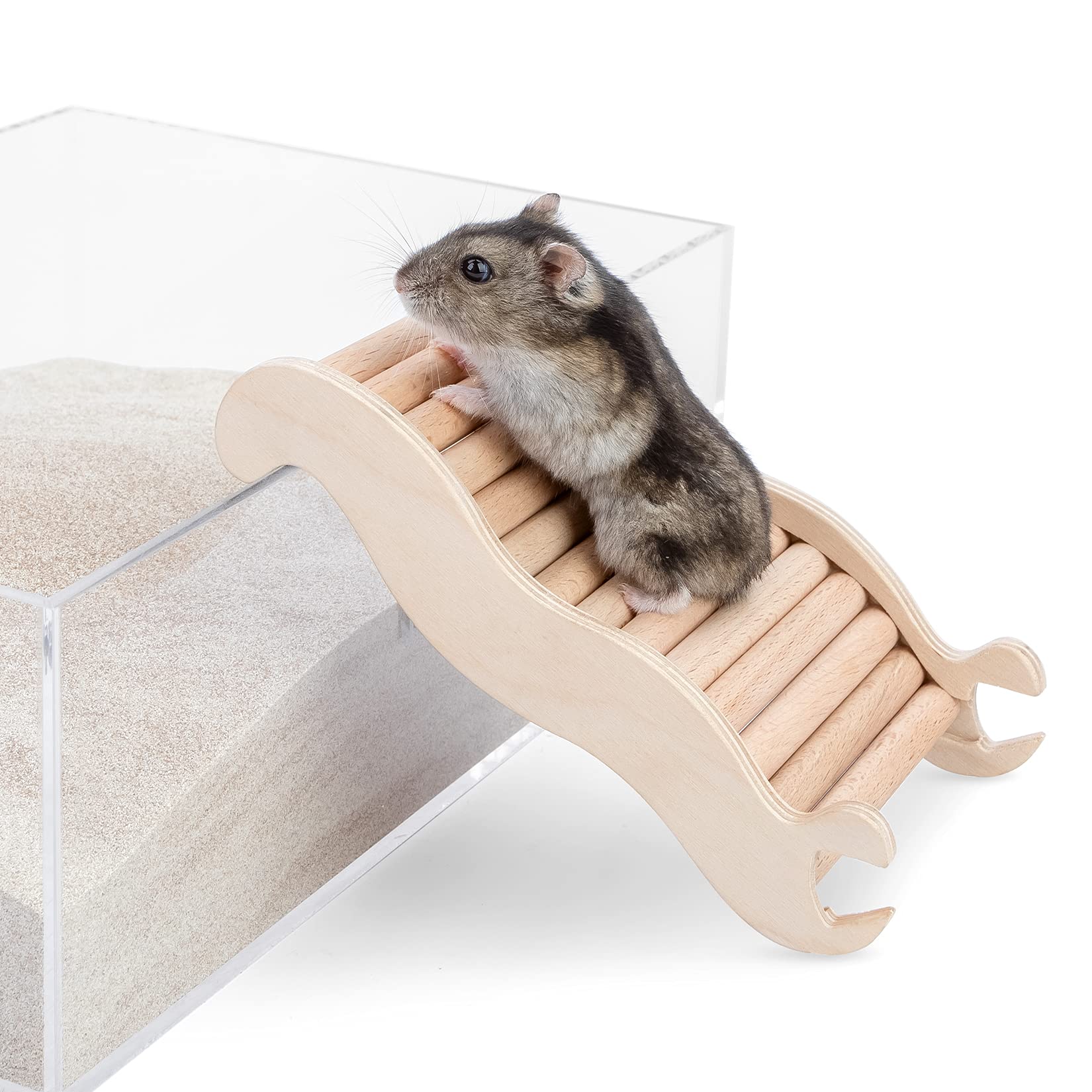 Niteangel hamster climbing toy habitat decor enhances small-pet home aesthetics.