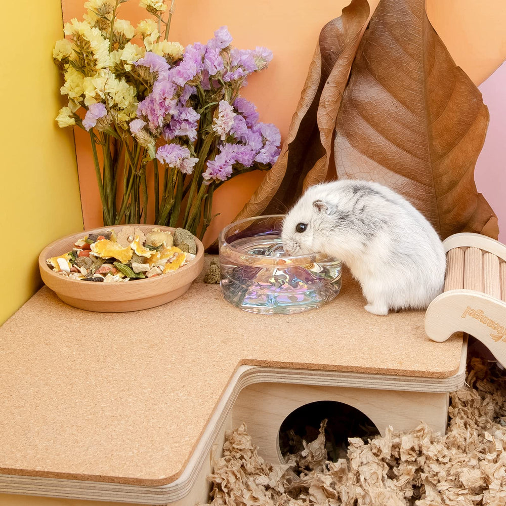 Niteangel hamster dish multi-use bowl for treats or food.