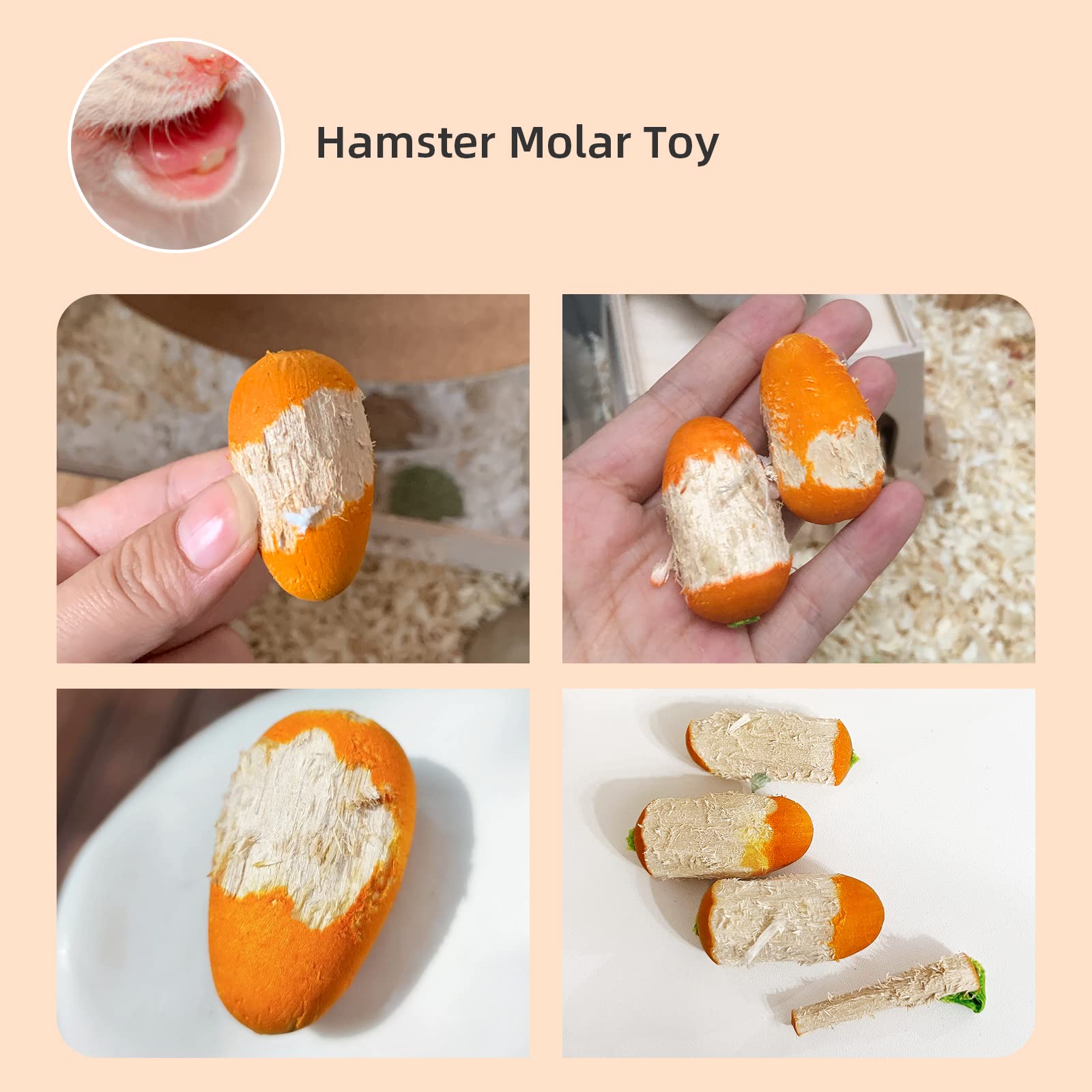 Niteangel hamster enrichment during playtime boosts activity and stress relief.