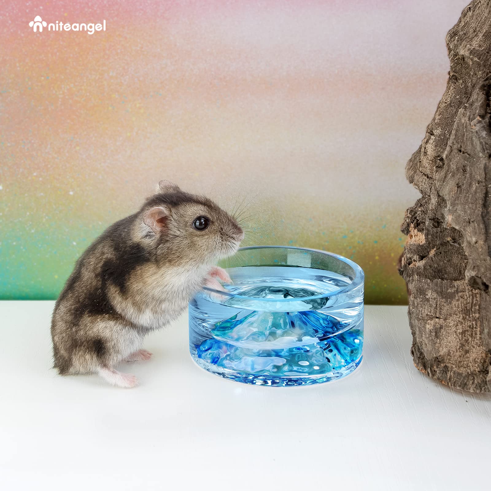 Niteangel hamster-food-treat-dish dual-use design demonstrates versatility beyond drinking.