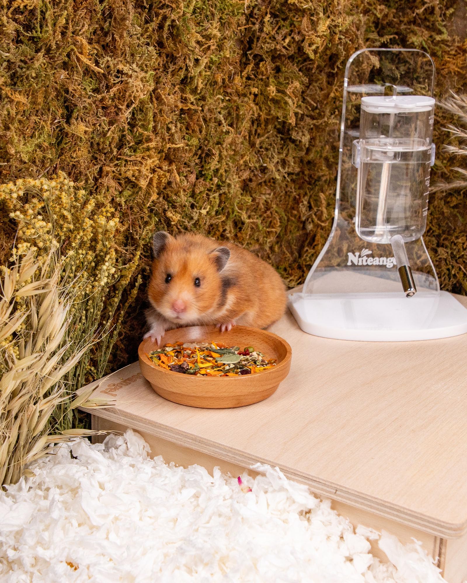Niteangel Hamster Food & Treats Toy Syrian-hamster focus illustrates suitability for golden hamsters.