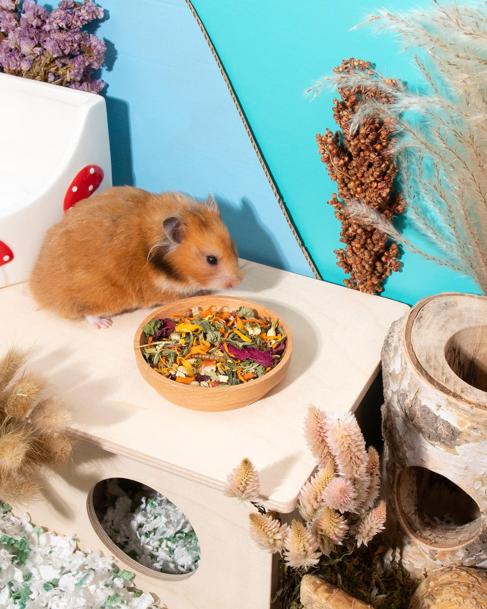 Niteangel Hamster Food & Treats Toy variety-meal scoop showcases versatile use for small pets.