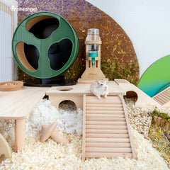 Niteangel hamster-house cartoon-decor adds playful cage ambiance and theme match