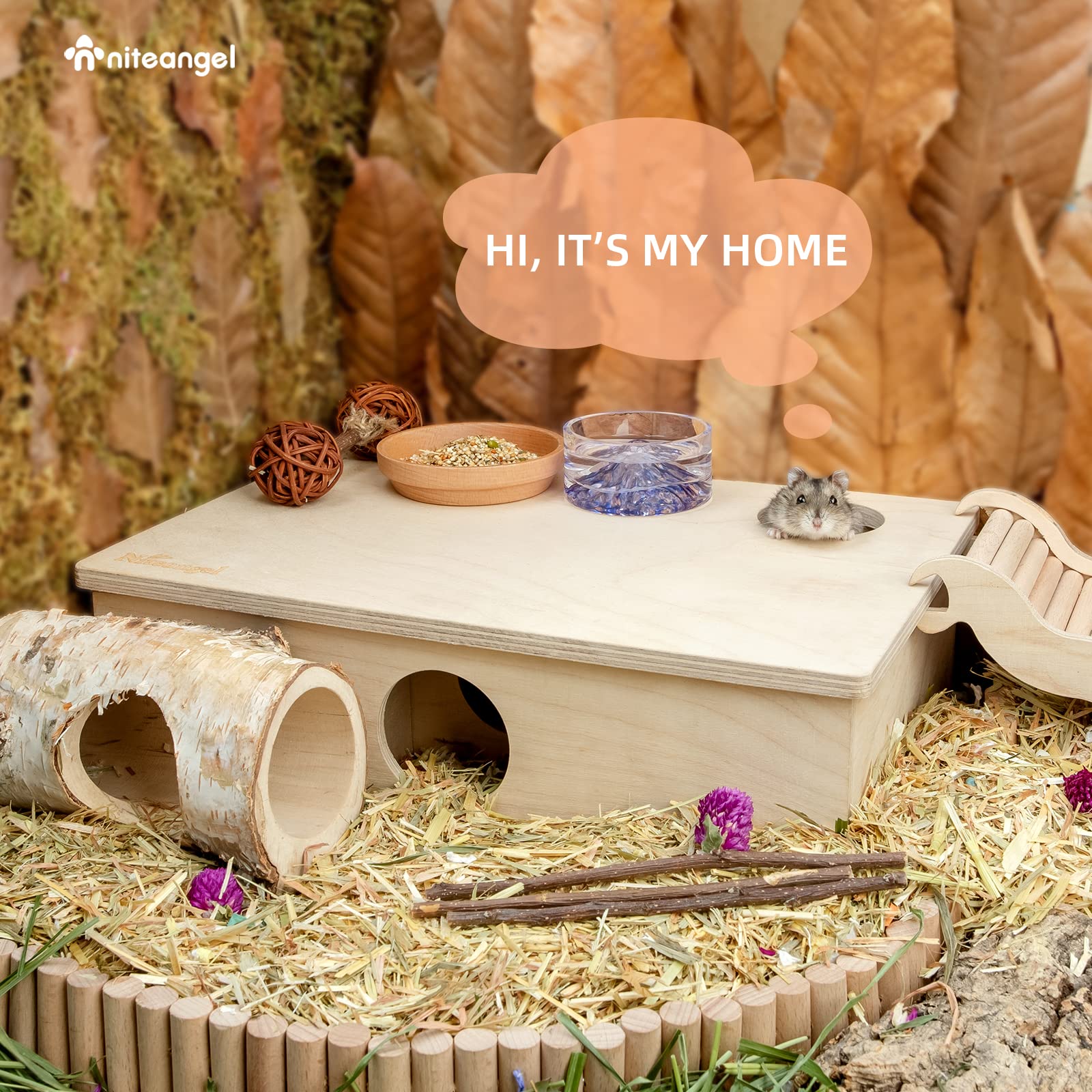 Niteangel compact wooden design fits small cages while encouraging burrow like activity.