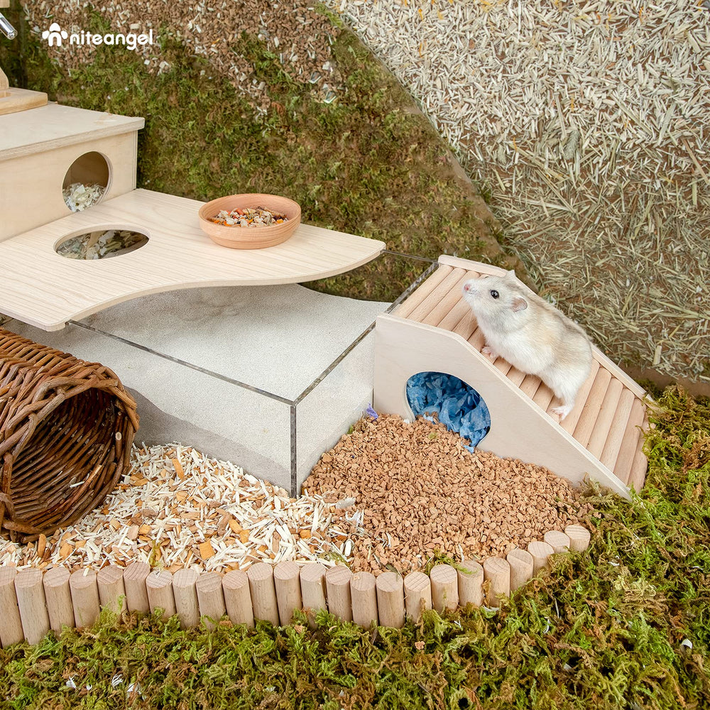 Niteangel hamster-house habitat-cave entry emphasizes secure semi-closed hideout