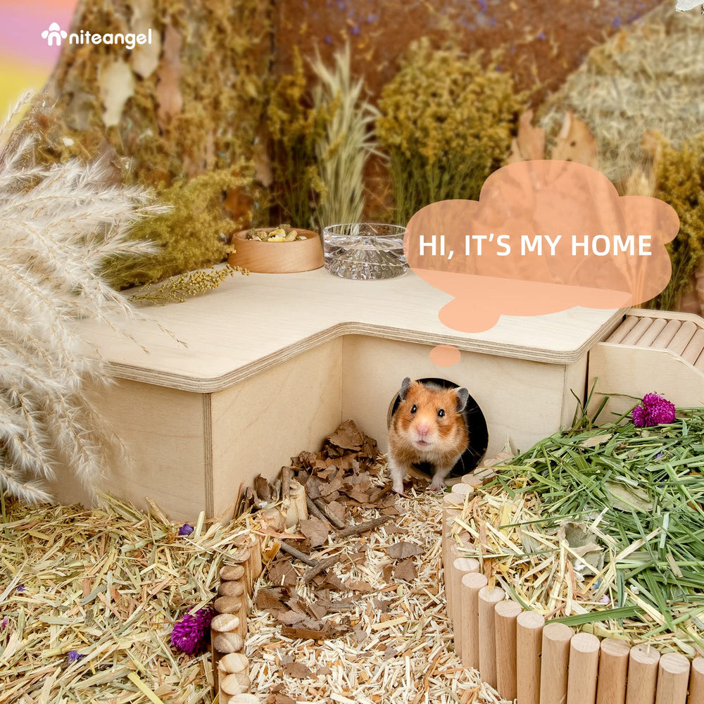Niteangel hamster house maze in-use shot shows active exploration and rest.
