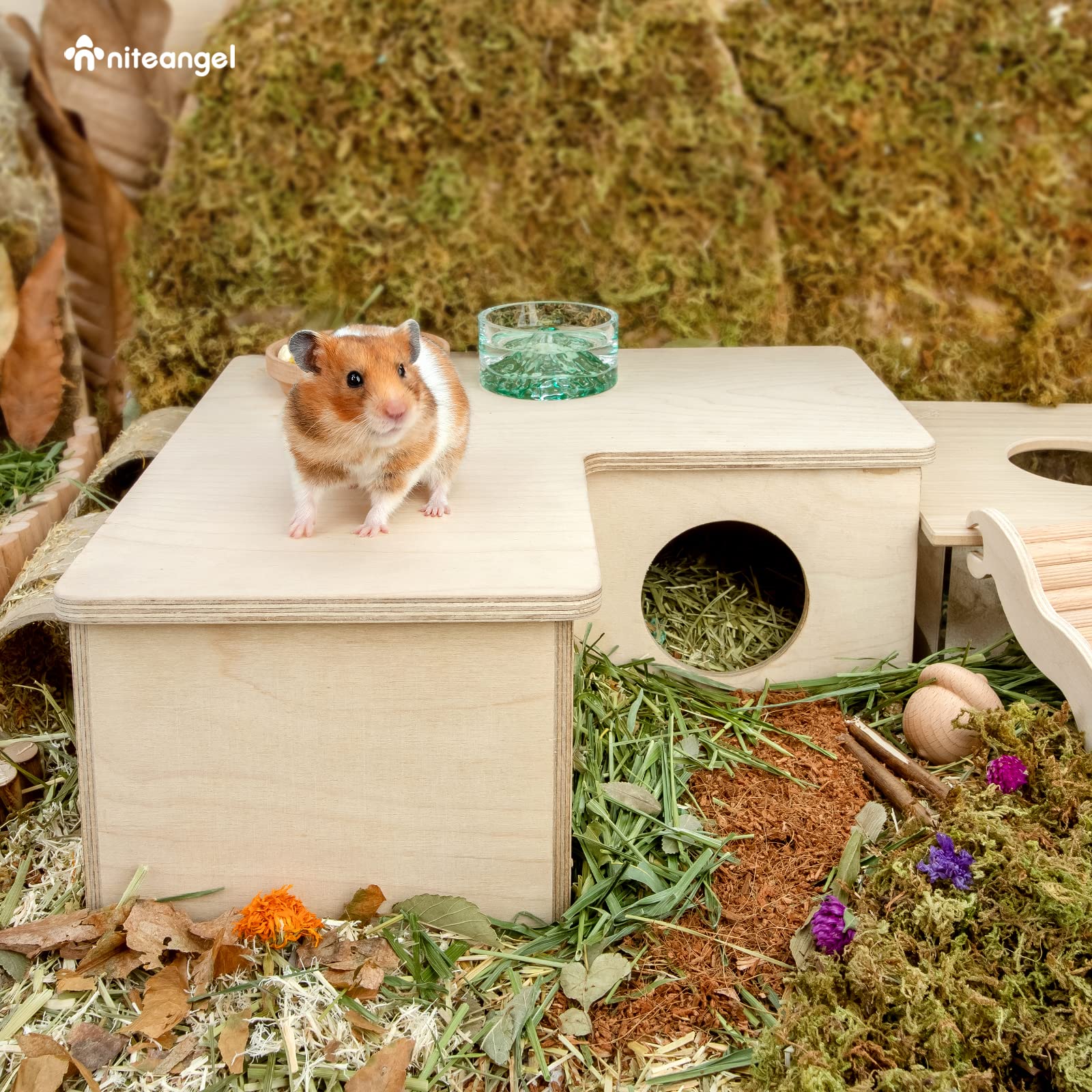 Niteangel hamster house maze birch plywood build emphasizes safety.