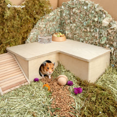 Niteangel hamster house maze removable roof enables easy daily checks.