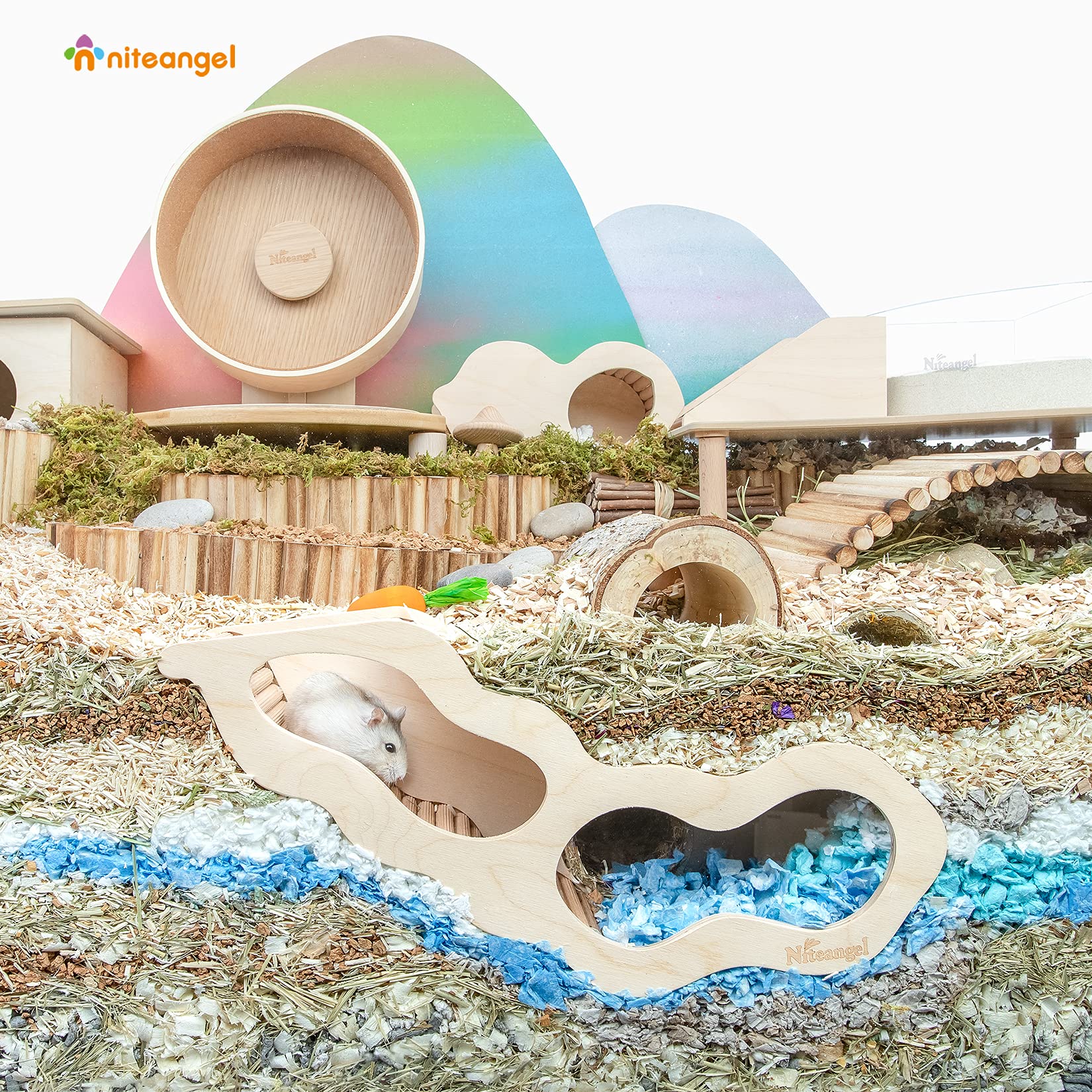 Niteangel hamster house secret peep tunnel photo demonstrates discreet viewing and play