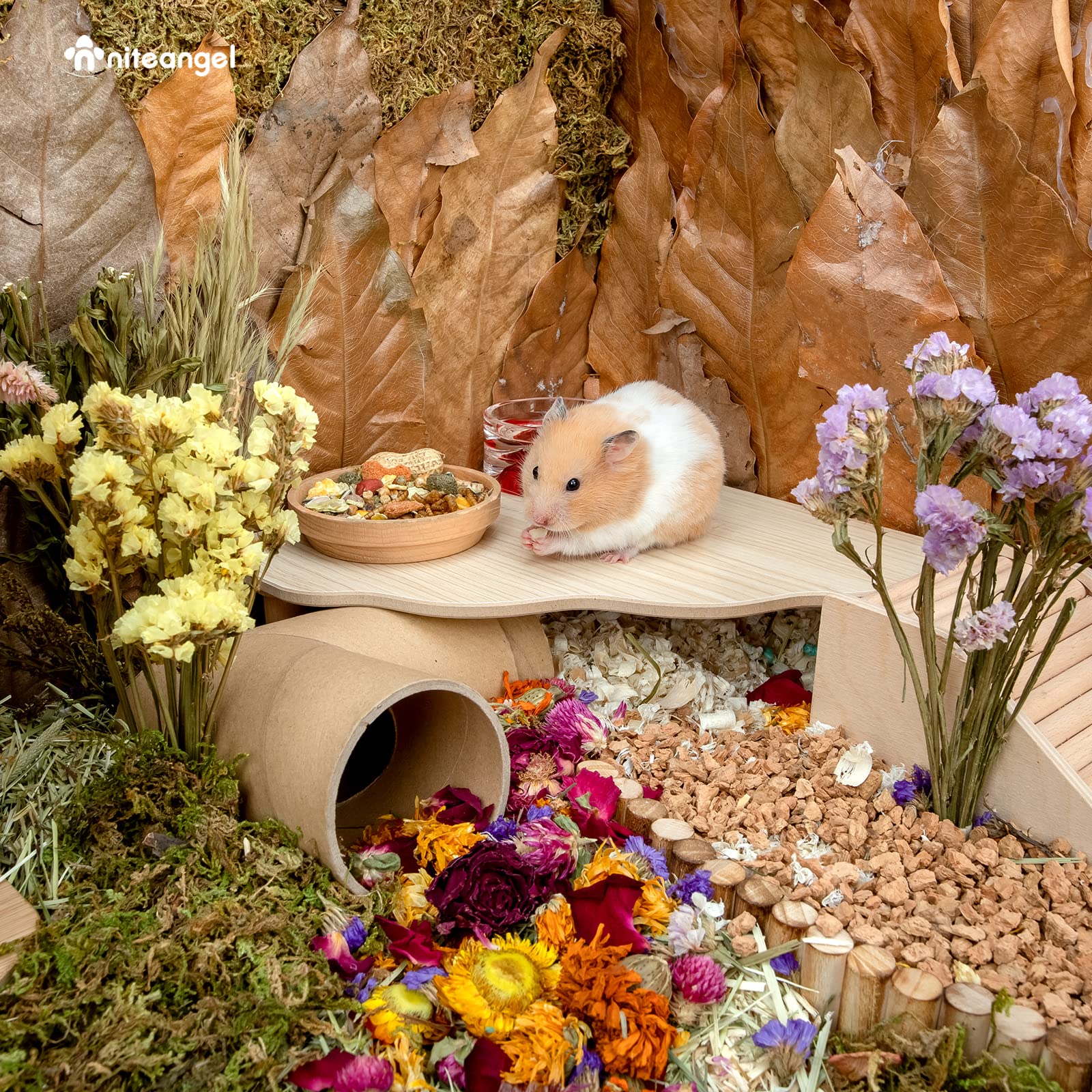 Niteangel Hamster Play in-cage setup demonstrates space optimization and nesting options