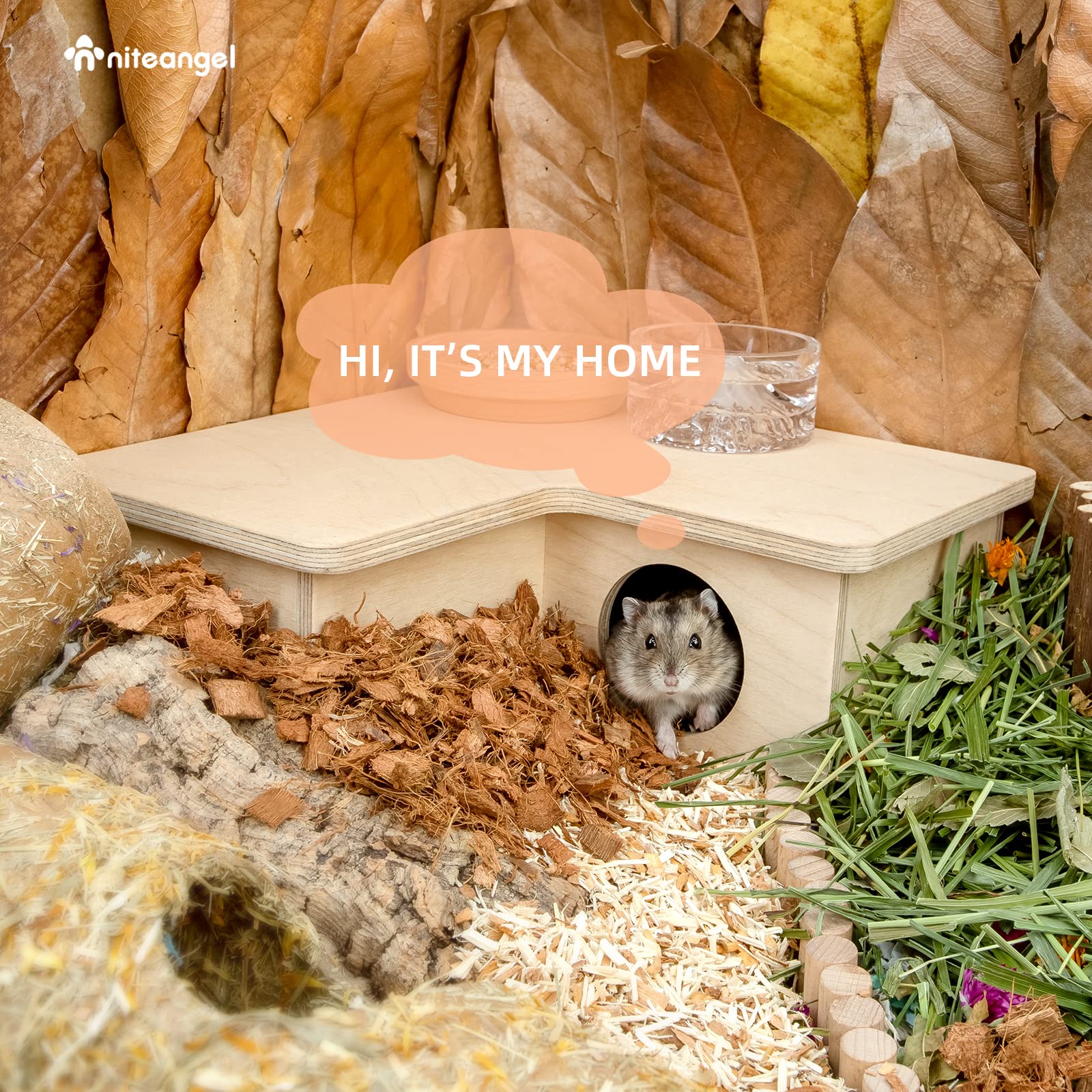 Niteangel roof platform on hamster maze doubles as play or feeding spot.
