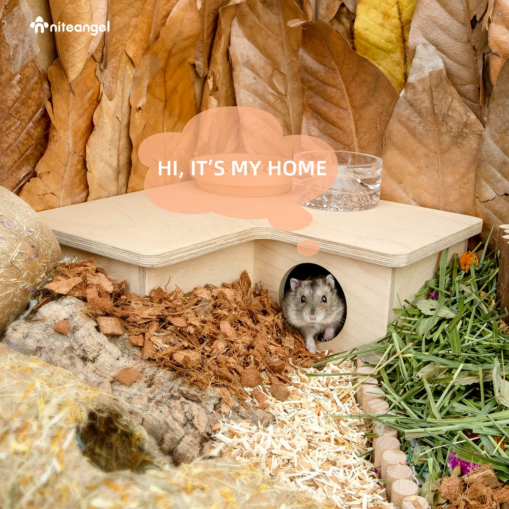 Niteangel roof platform on hamster maze doubles as play or feeding spot.