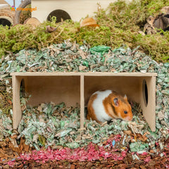 Niteangel Hamster Secret Peep Shed 2-chamber design encourages exploration and rest.