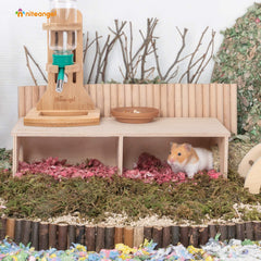 Niteangel Hamster Secret Peep Shed dimensions support cage compatibility and placement.