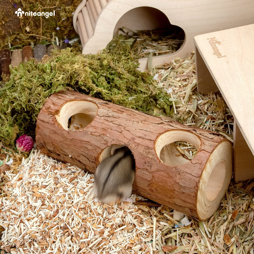 Niteangel hollow tree trunk as nest natural bedding and resting spot