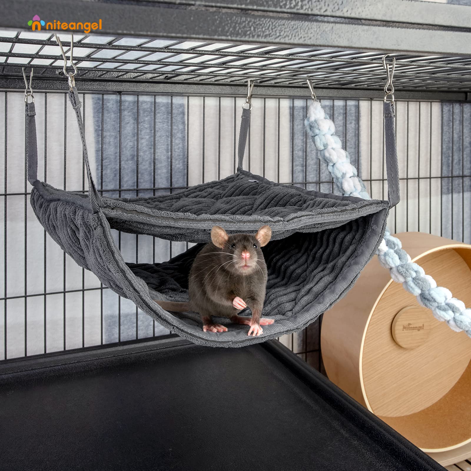 Niteangel hammock demonstrates two-fer ferrets sharing the top layer.