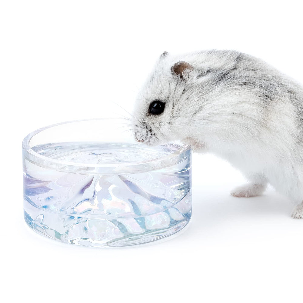 Niteangel Mount Fuji glass water bowl close-up for easy drinking posture.
