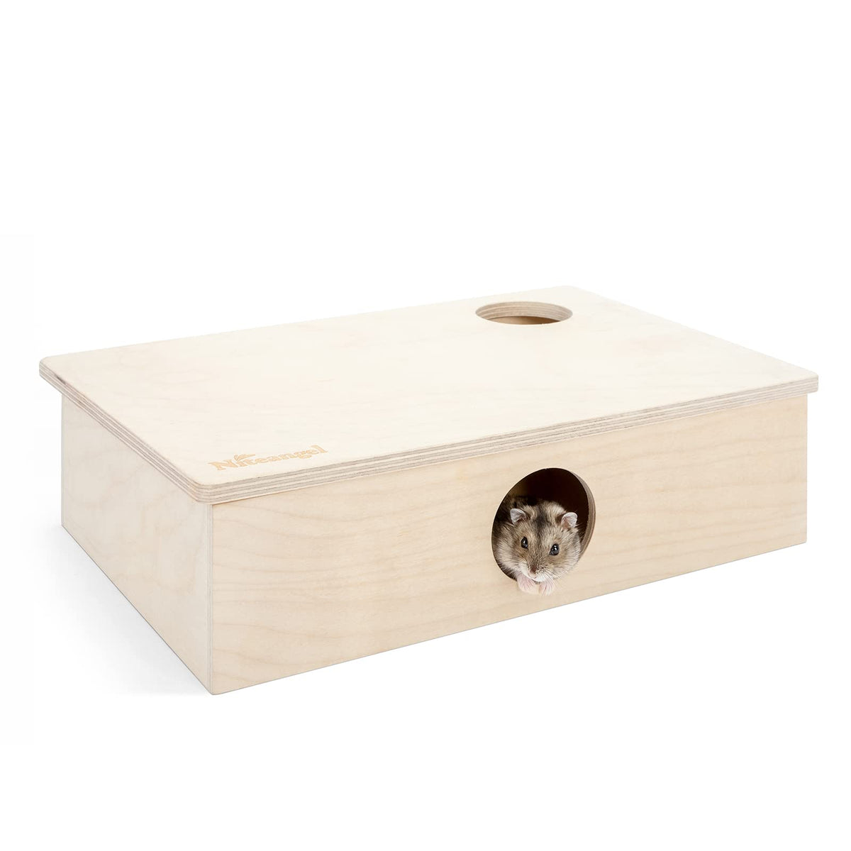 Niteangel multi-chamber hamster house maze interior with six rooms for exploration and rest.