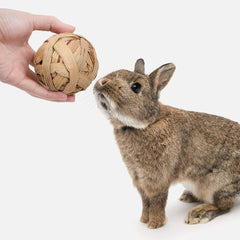 Niteangel rattan ball chew toy supports chewing and burrow-like engagement.