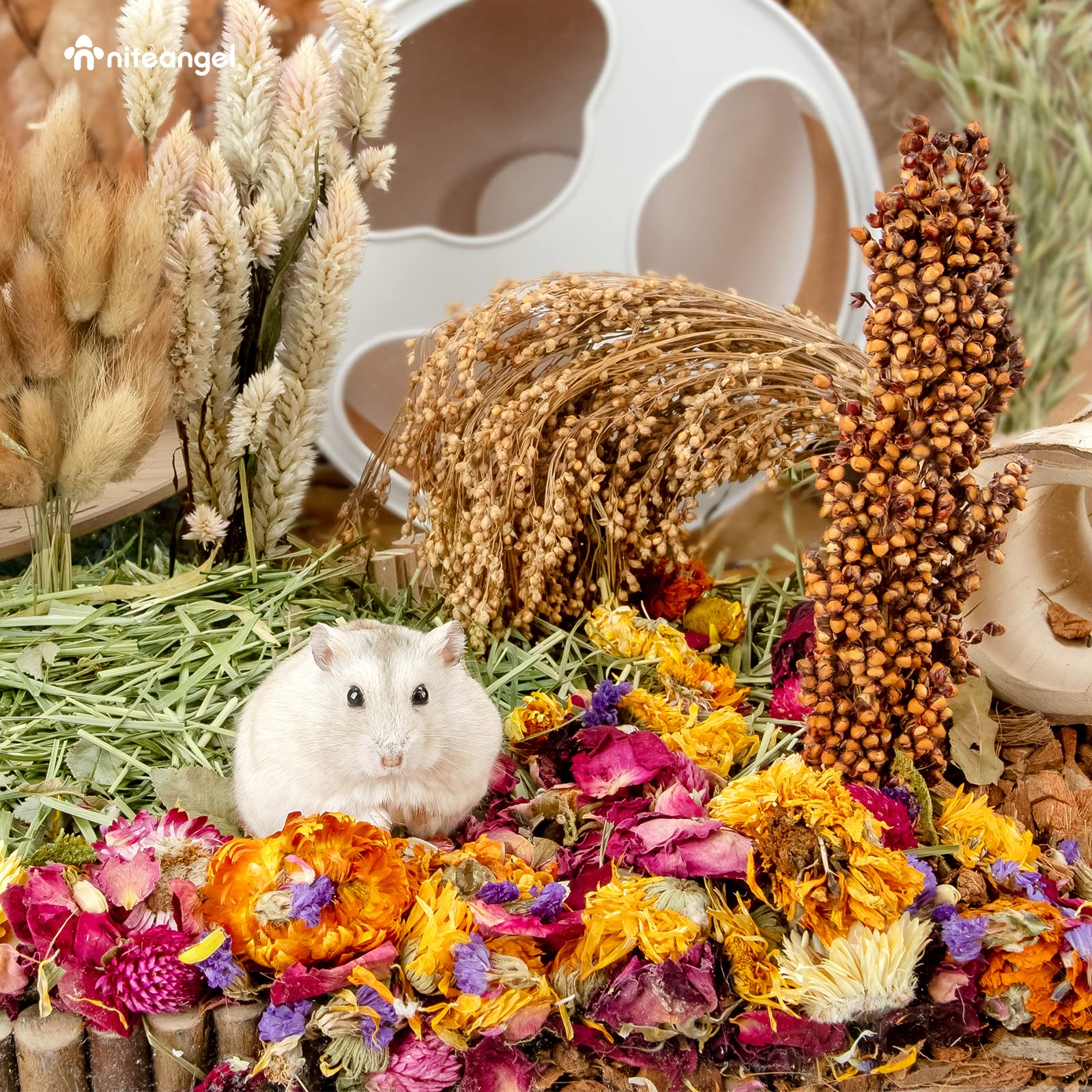 Niteangel nature-themed cage with petals creates a vibrant habitat.