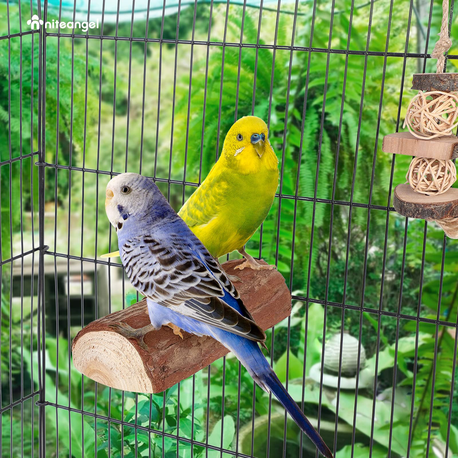 Niteangel parrot cage perch 7x3 inches compact-fit in cages.