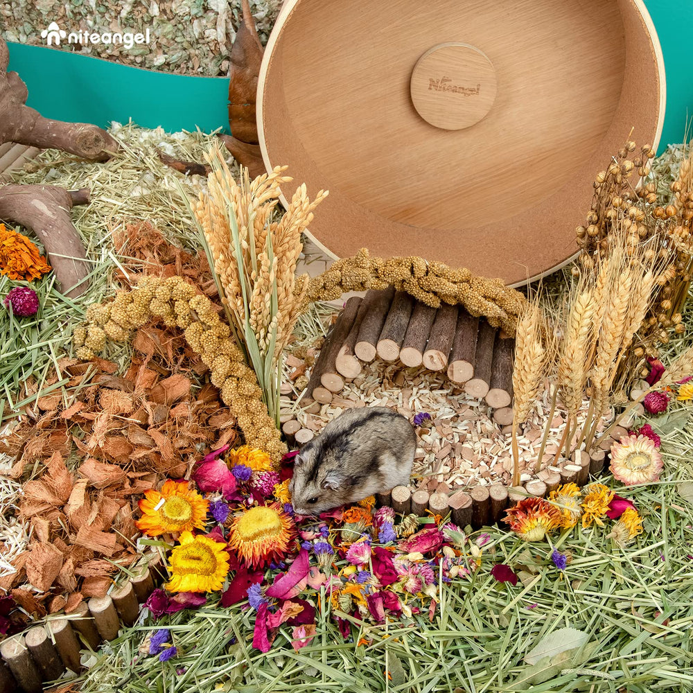 Niteangel flower bedding enriches small pets' exploration and chewing behavior.