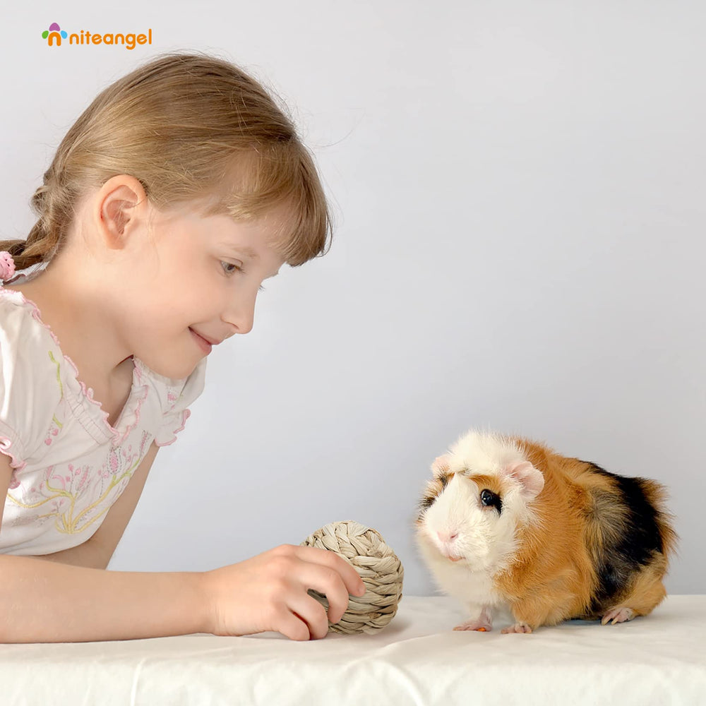 Niteangel plant-based chew toys mix supports routine play and stress-free habitat.