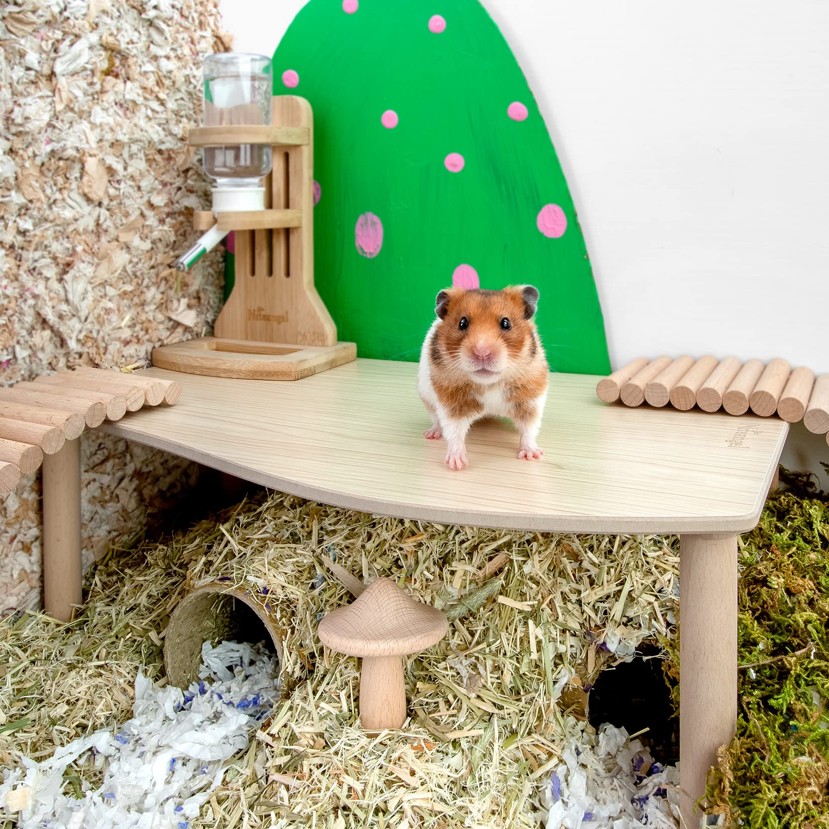 Niteangel platform in cage with bedding — encourages burrowing and nesting behaviors.
