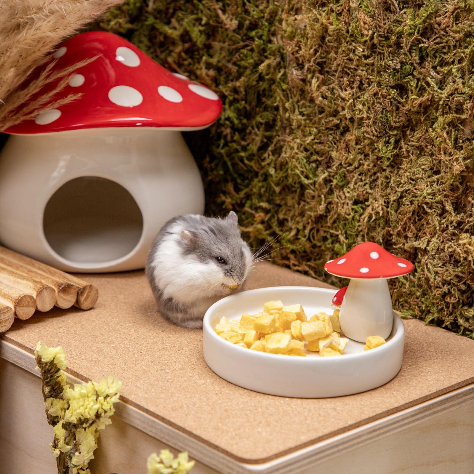 Niteangel small-pet feeding dish ceramic demonstrates easy cleanup after meals.