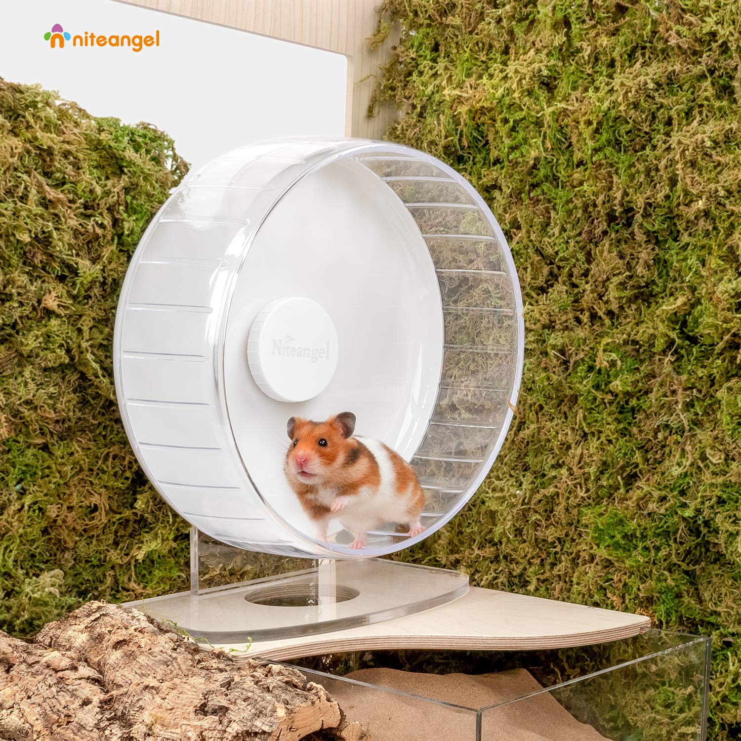 Niteangel wheel with adjustable height shown for flexible setup.