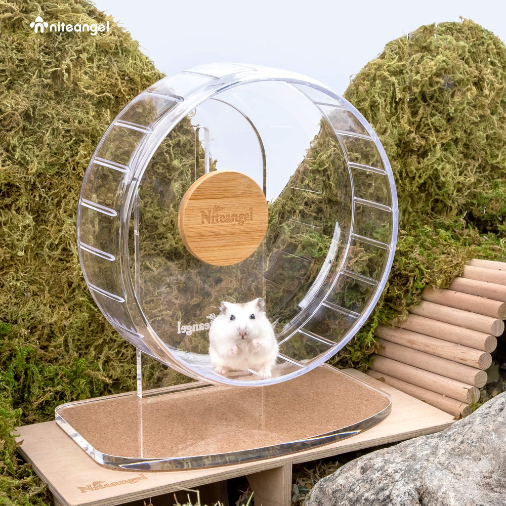 Niteangel Super-Silent Hamster Wheel-base demonstrates sturdy base for secure placement in DIY cages.