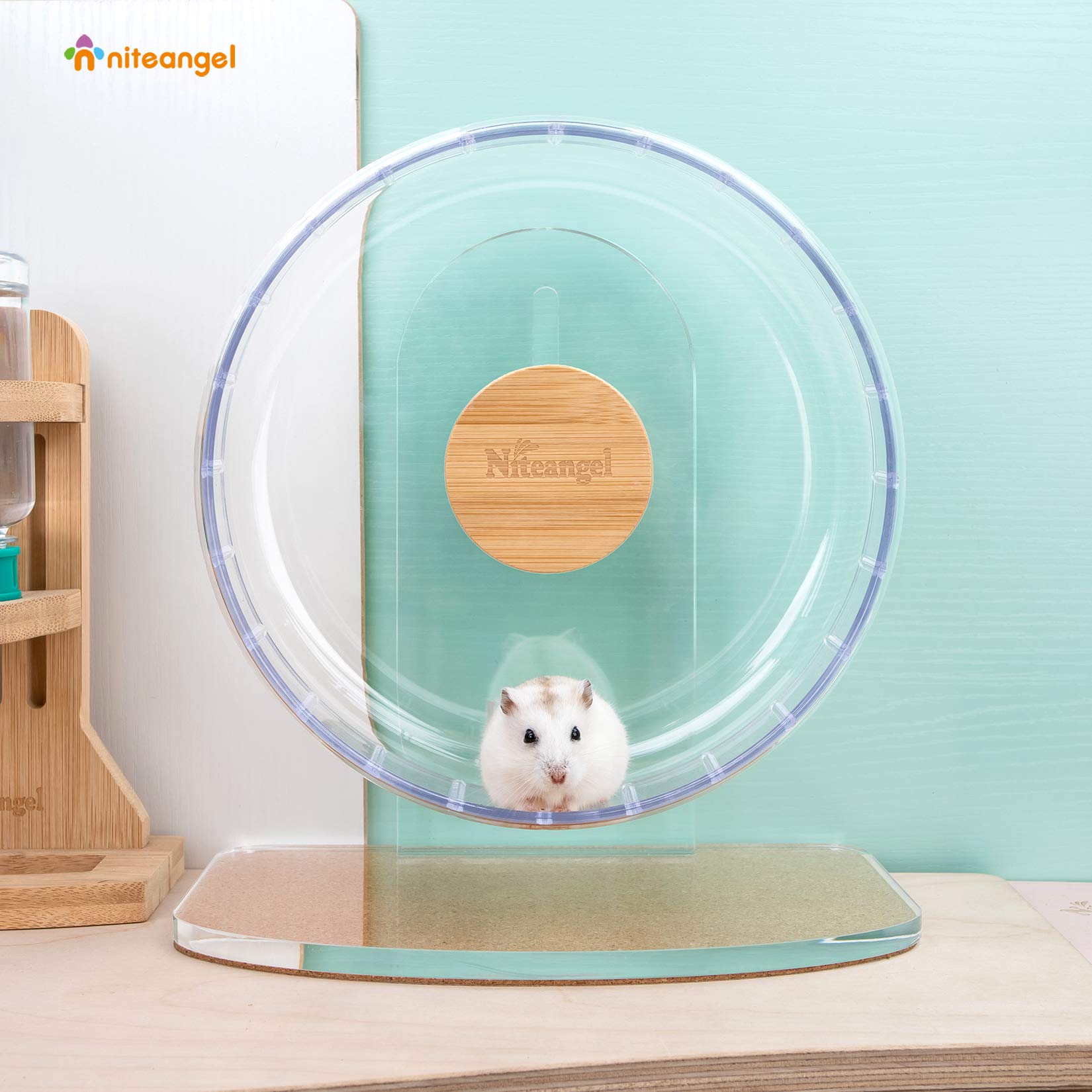 Niteangel Super-Silent Hamster Wheel-transparent-ps-plastic close-up emphasizes clear viewing and chew resistance.