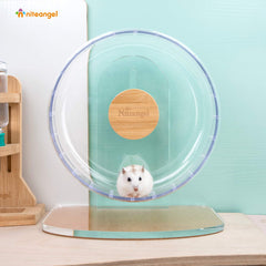 Niteangel Super-Silent Hamster Wheel-transparent-ps-plastic close-up emphasizes clear viewing and chew resistance.