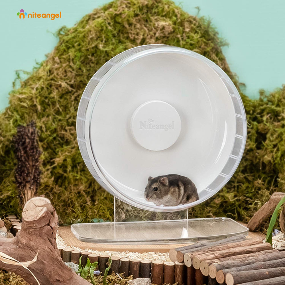 Niteangel Super-Silent Wheel top view showcases wide running track for natural posture.