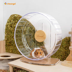 Niteangel super-silent wheel adjustable height feature for versatile cage setups