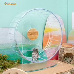 Niteangel transparent acrylic base highlights a sleek, chew-resistant design.