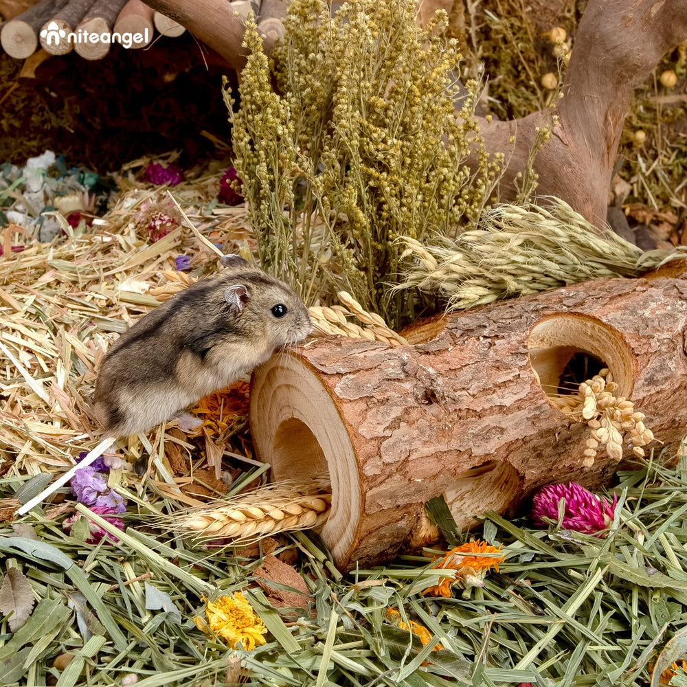 Niteangel tunnel stuffed with treats interactive enrichment for inquisitive pets
