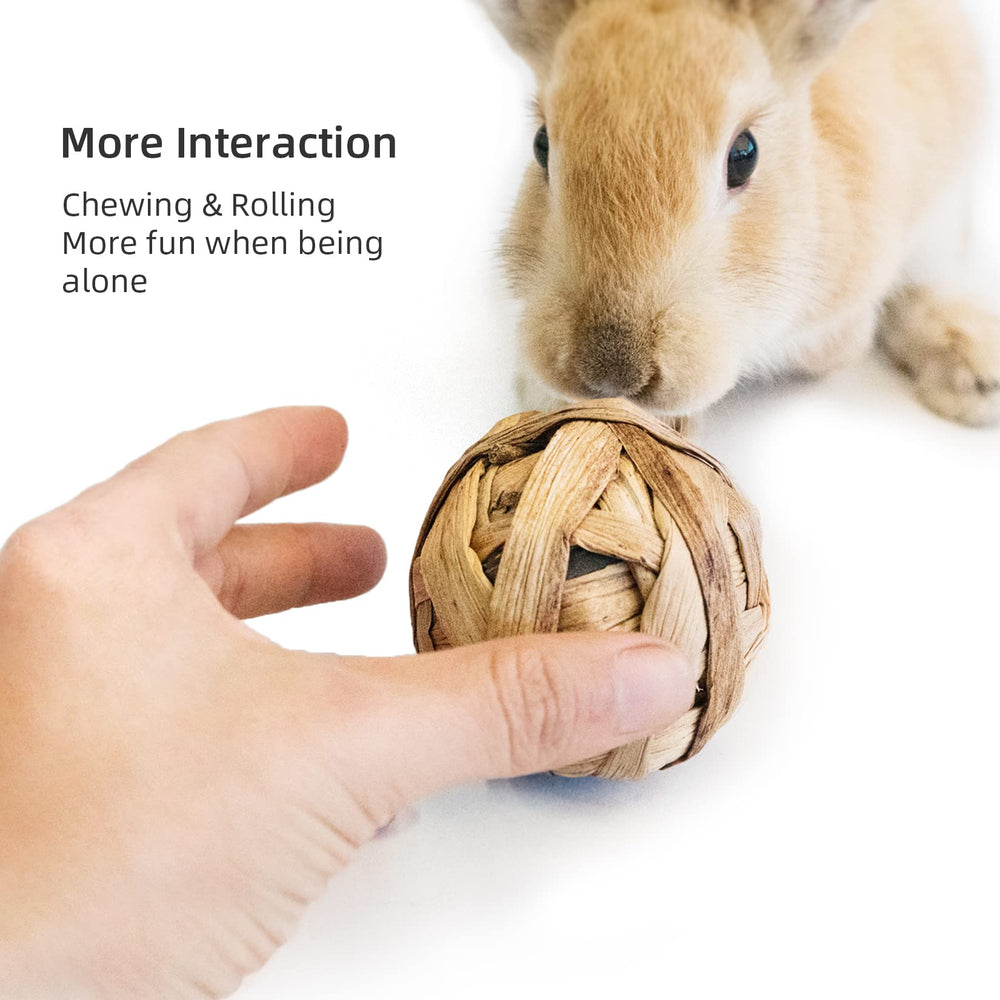 Niteangel willow-twig chew balls offer varied textures for interactive play.