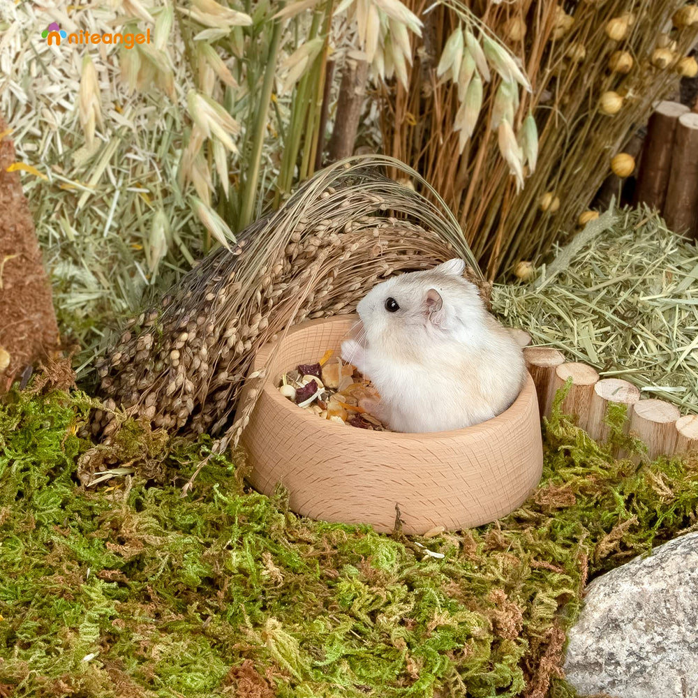 Niteangel wooden hamster bowl shows 3.1-inch diameter for small dishes