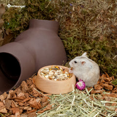 Niteangel wooden hamster bowl features beech wood construction for durability