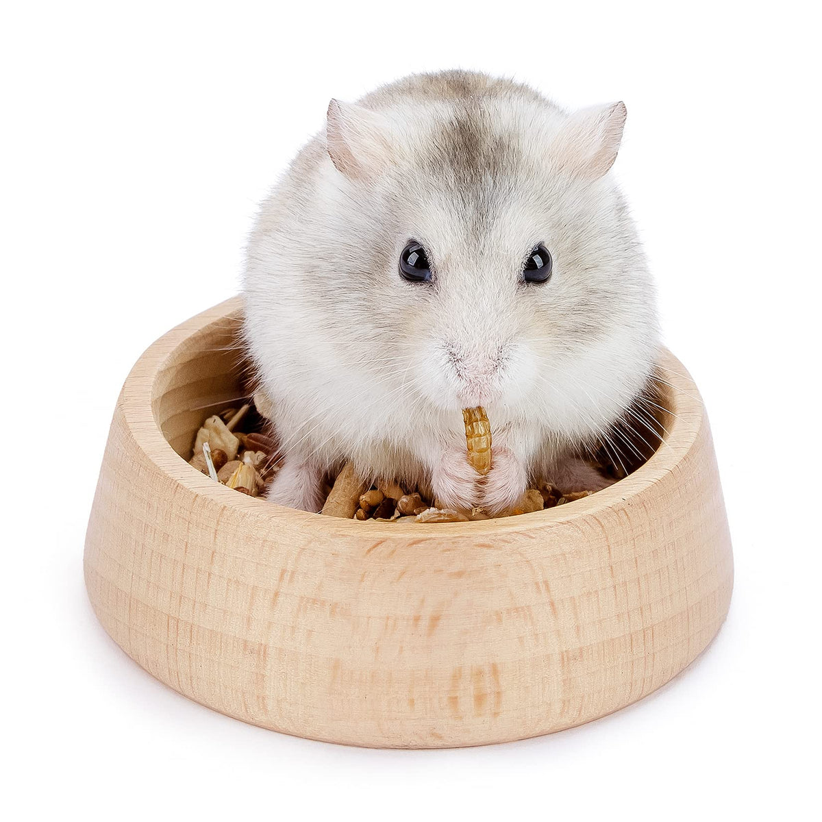 Niteangel wooden hamster bowl with hammy pattern for dwarf pets