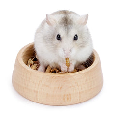 Niteangel wooden hamster bowl with hammy pattern for dwarf pets