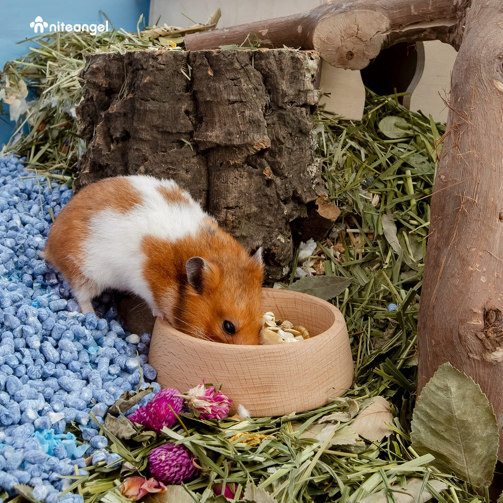 Niteangel beech-wood hamster bowl demonstrates a durable, long-lasting material for daily use.