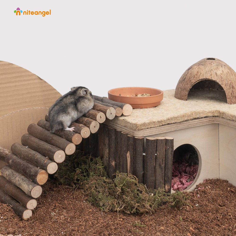 Niteangel wooden ladder bridge curled into a domed shelter for a cozy nest