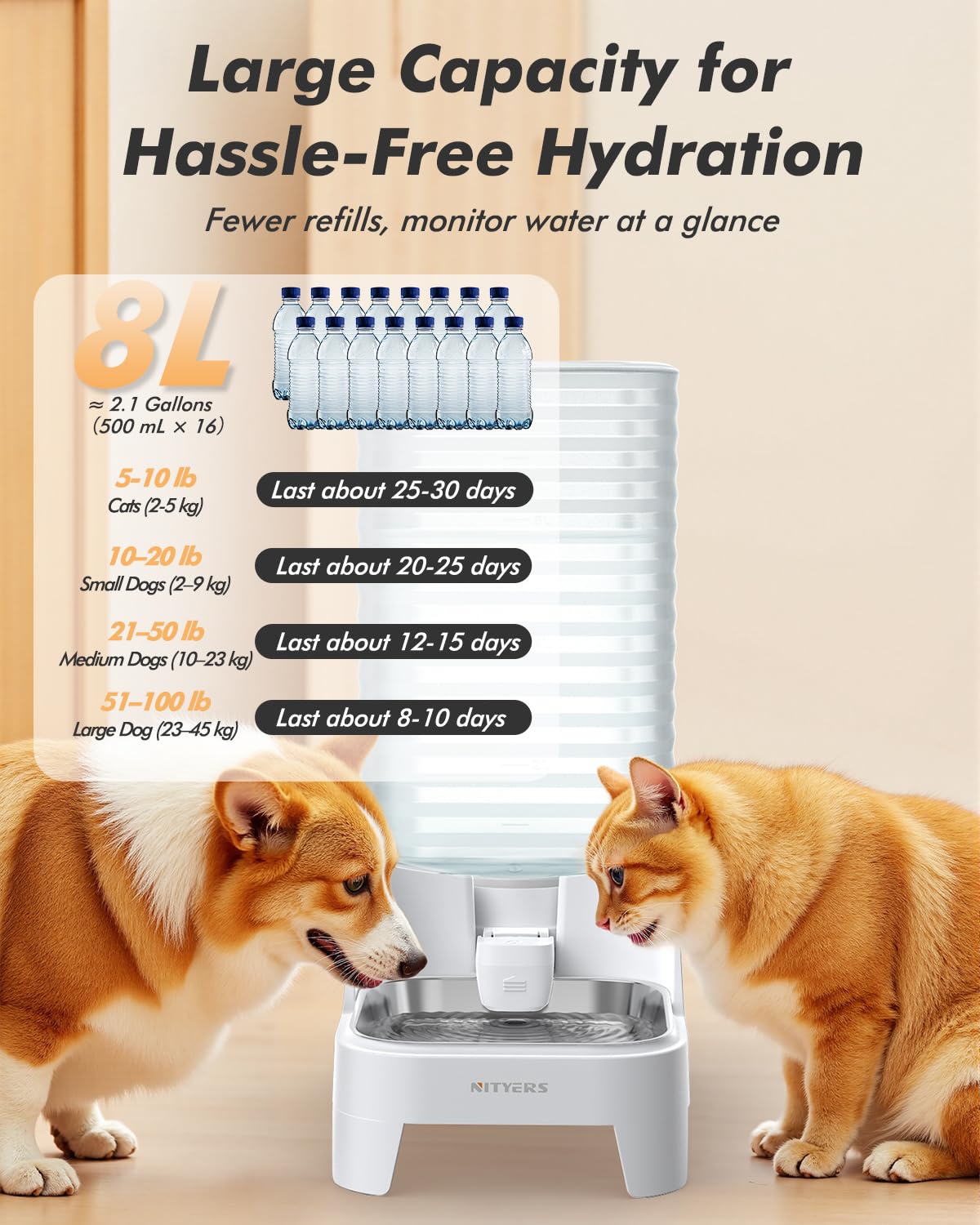 Nityers adjustable stand shows height options for different pets